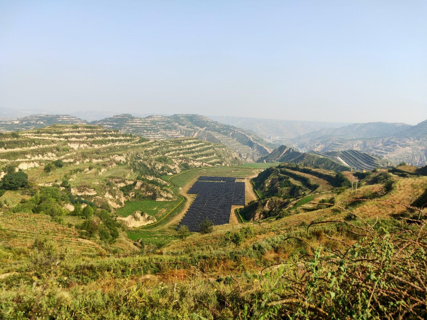 黃土坡上藥香濃 合作社帶富一方人——慶城縣中藥材產業成為鄉村振興“金鑰匙”