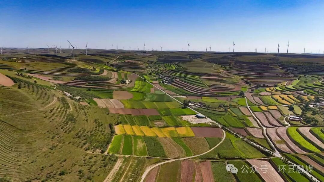 科技賦能強根基 特色勃發繪新篇——環縣奏響農業豐收振興曲
