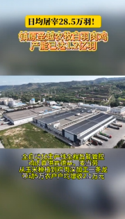 鎮原圣越農牧白羽肉雞產能達1.2億羽，全產業鏈帶動5萬農戶戶均增收2.1萬元