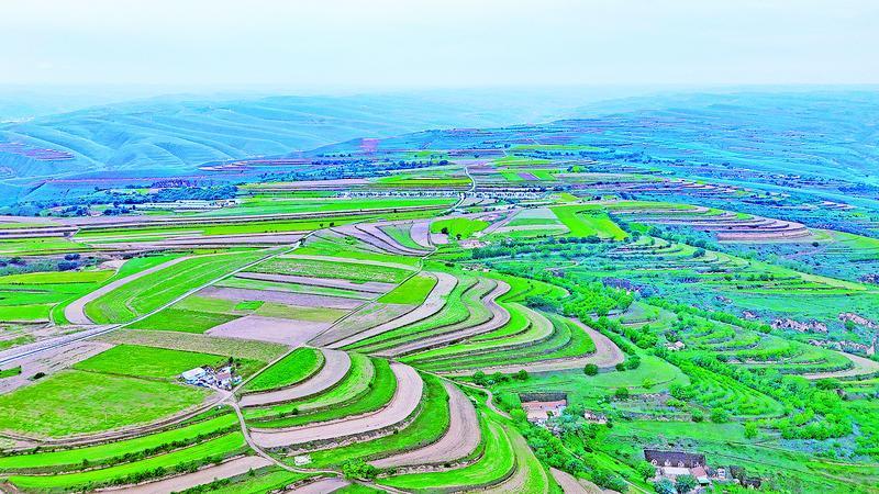 《隴東報》特刊·生態慶陽丨黃土塬變“生態長廊” 群眾有了生活新空間