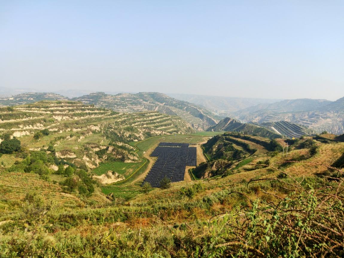 【2025甘肅·慶陽岐黃文化論壇】黃土坡上藥香濃 合作社帶富一方人——慶城縣中藥材產(chǎn)業(yè)成為鄉(xiāng)村振興“金鑰匙”