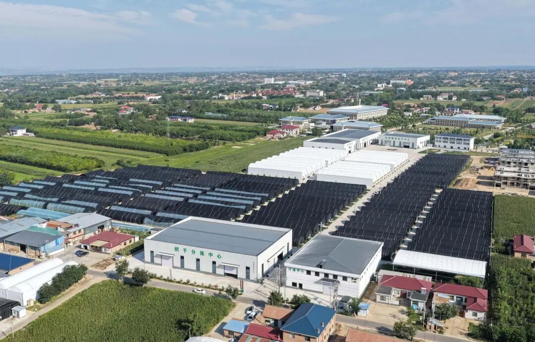 點燃項目引擎 激活發展動能——西峰區重點項目建設紀實