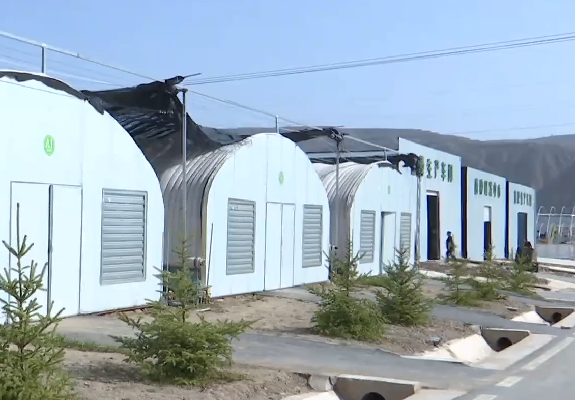 《慶陽(yáng)新聞》2025年9月30日