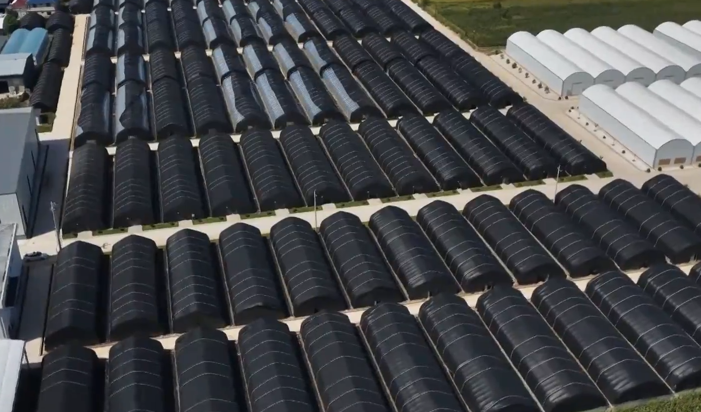 《慶陽(yáng)新聞》2025年10月3日