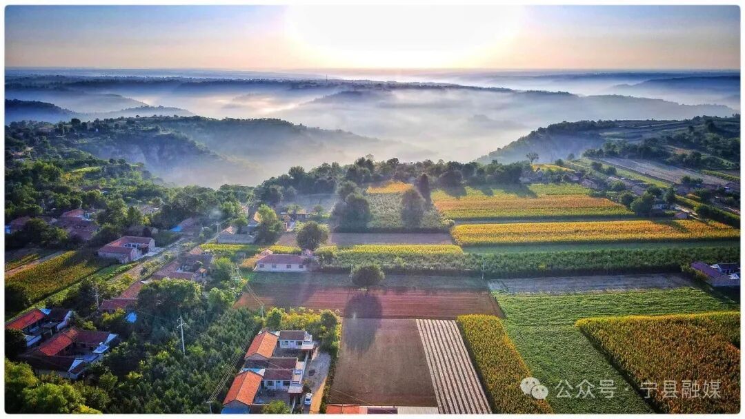 奮勇爭先 實(shí)干為要 ——寧縣以“三抓三促”行動賦能縣域經(jīng)濟(jì)高質(zhì)量發(fā)展