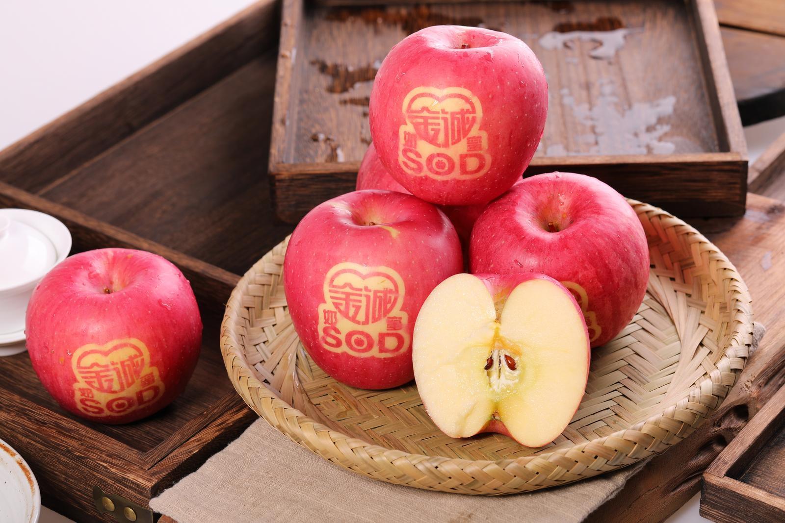 2025中國蘋果年會在慶陽丨慶城縣：三維發力筑根基 蘋果產業邁向高質量發展新階段