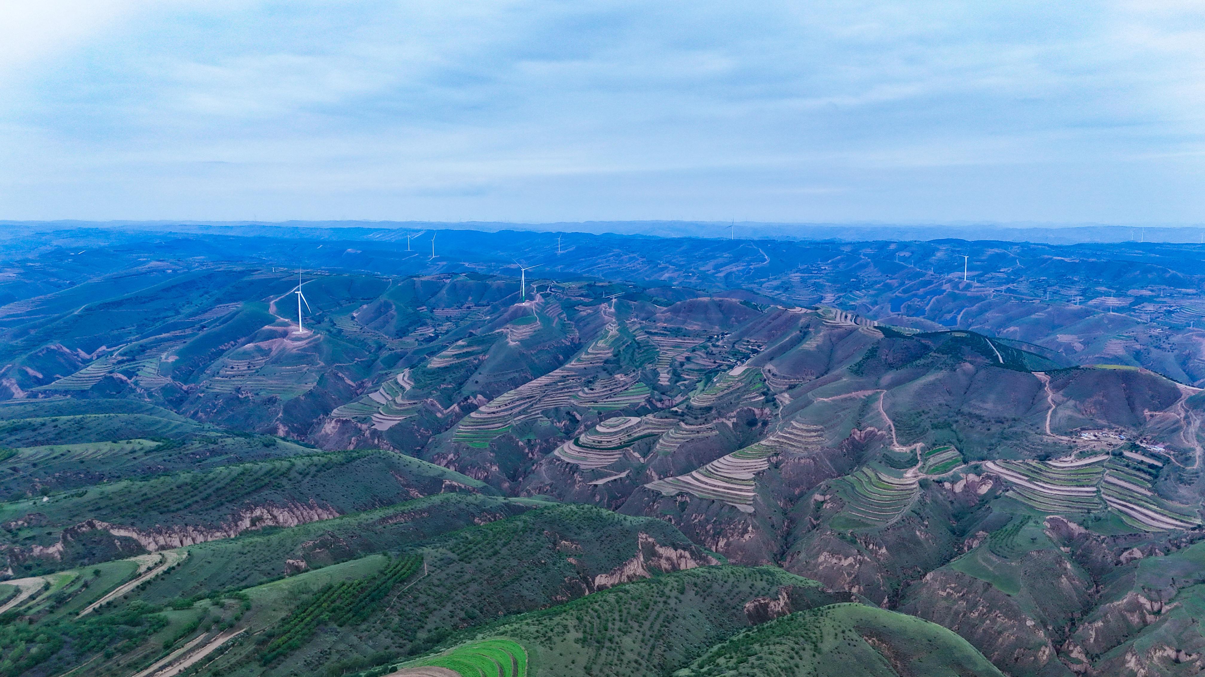 荒山綠約——回訪環縣三位“綠色愚公”的生命守望