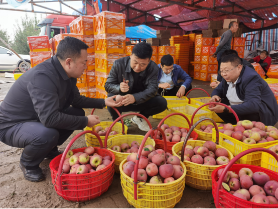 【三元雙向 智慧農業】合水：干群合力搶收忙蘋果園里迎豐收
