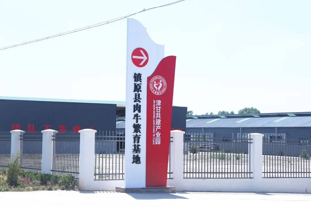 鎮原縣景家村：肉牛產業“鏈”出鄉村振興好“錢景”