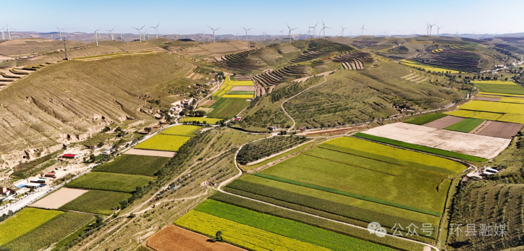 【攝影報道】環縣：秋色為筆 大地成詩