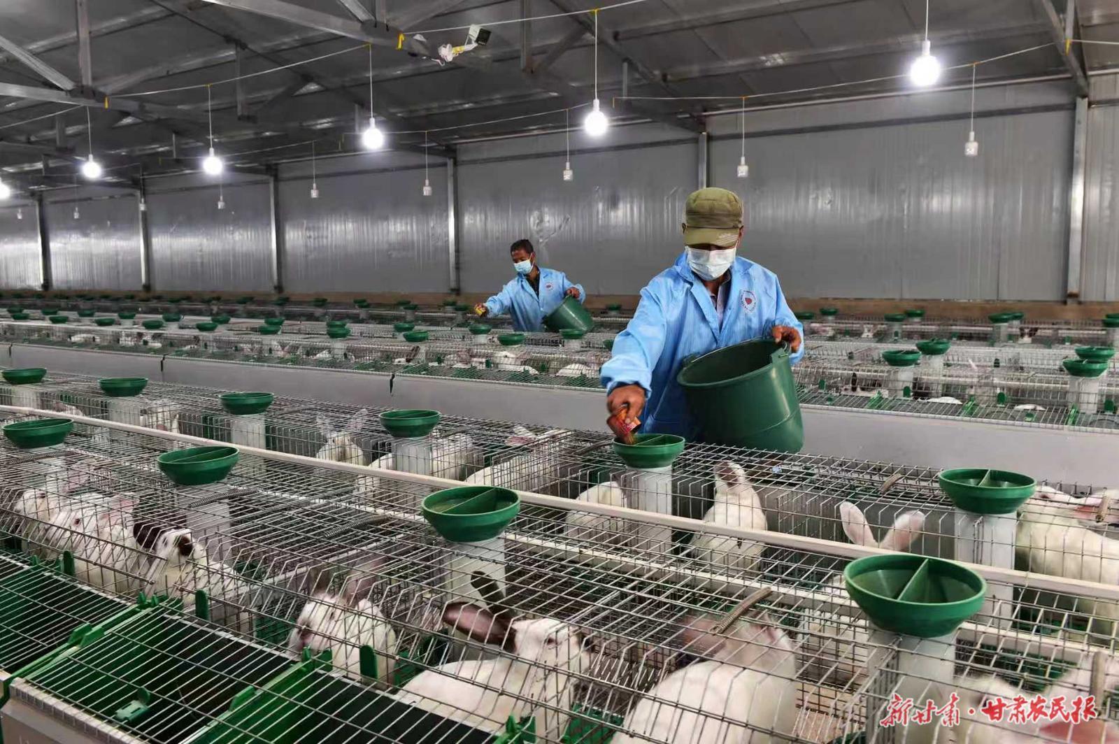 【甘肅農民報】平泉“三疊”——鎮原縣平泉鎮土地生金、文化流彩、旅游聚氣的生動實踐