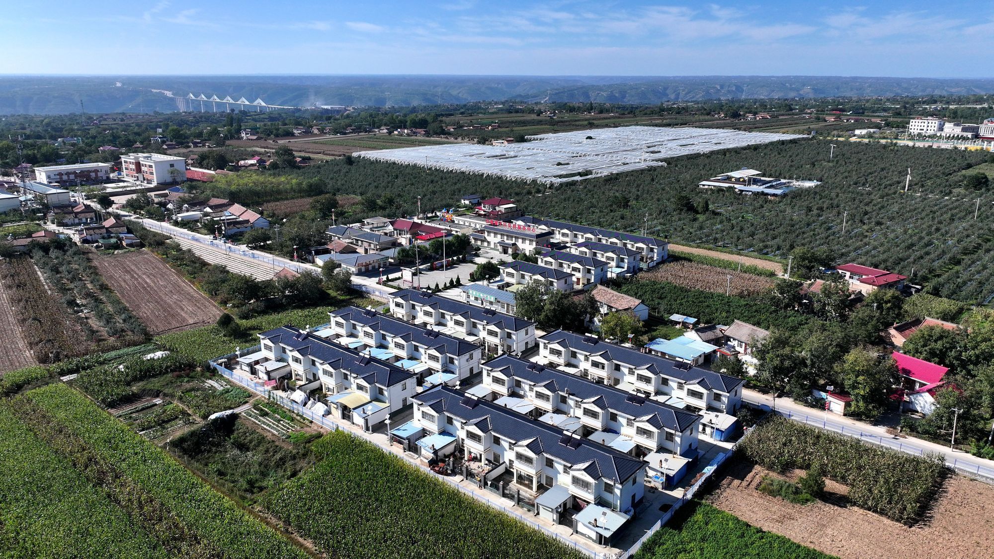 東西部協作結碩果 山海情深促振興