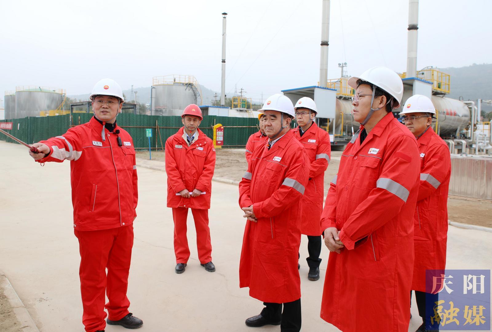 黃澤元在慶城縣調研時強調 堅決有力抓好生態環保問題整改 全面提升生態環境保護治理水平