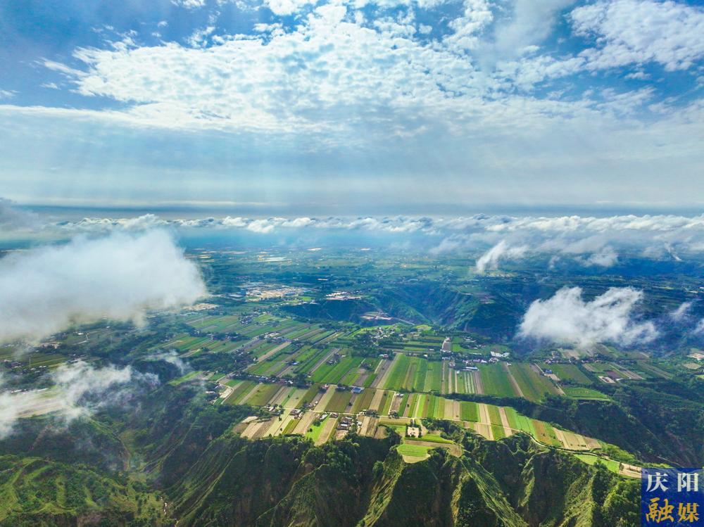 【攝影報道】秋浸慶陽，風梳大地葉正黃！