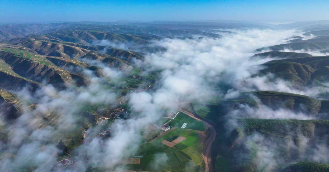 甘肅環縣：筑起黃河“幾字彎”綠色屏障
