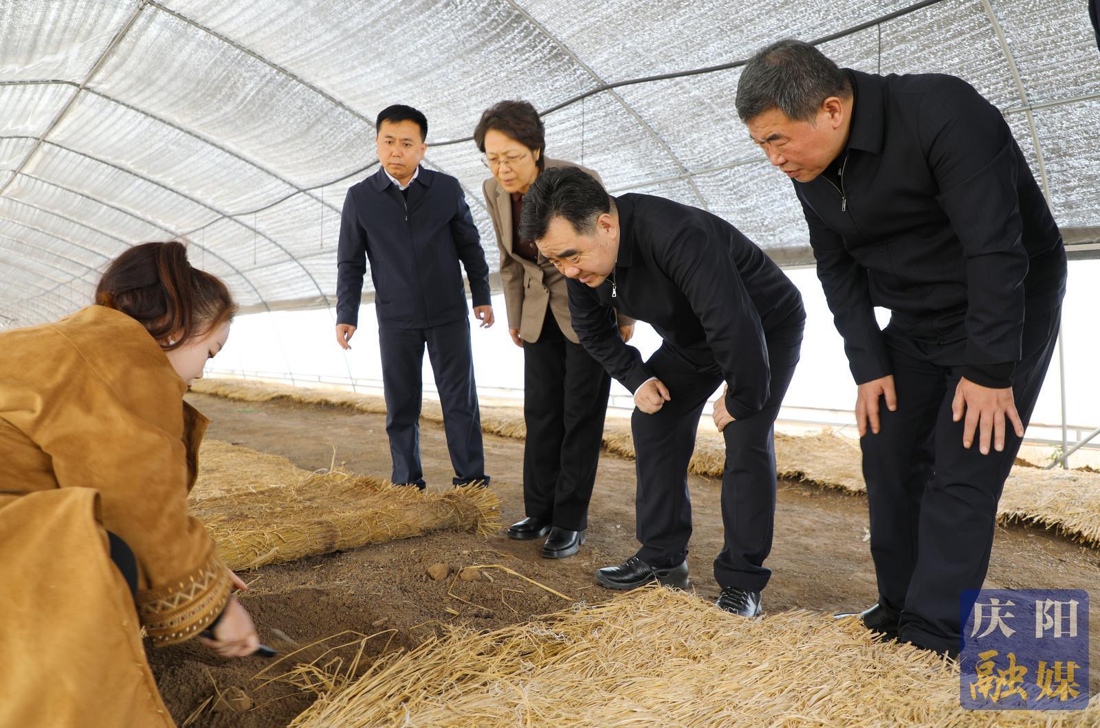 黃澤元在合水縣調研時強調 以農文旅融合賦能鄉村全面振興 以產業升級激發高質量發展活力