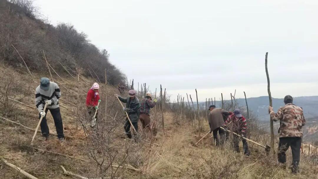 正寧：造林護綠富農家