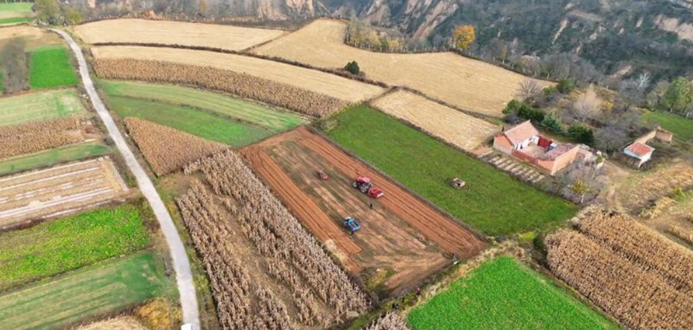 【鄉(xiāng)村行 看振興】西峰區(qū)：中藥材產(chǎn)業(yè)“點綠成金”激活鄉(xiāng)村振興“新引擎”