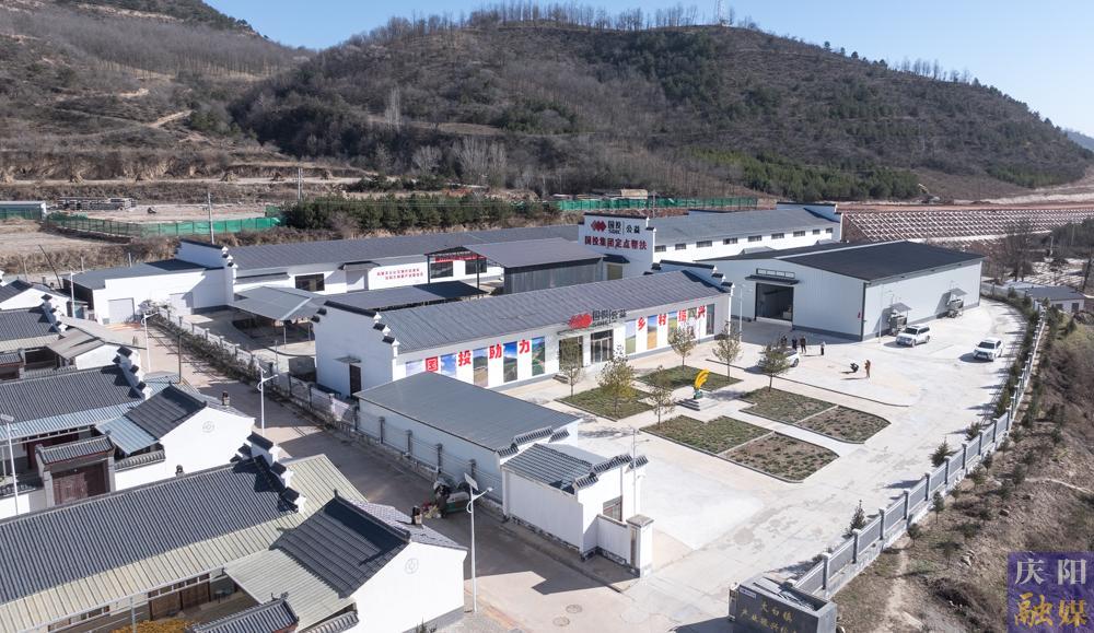 【非凡“十四五” 奮進新慶陽】 攝影報道︱合水縣太白鎮：一穗玉米富一方人