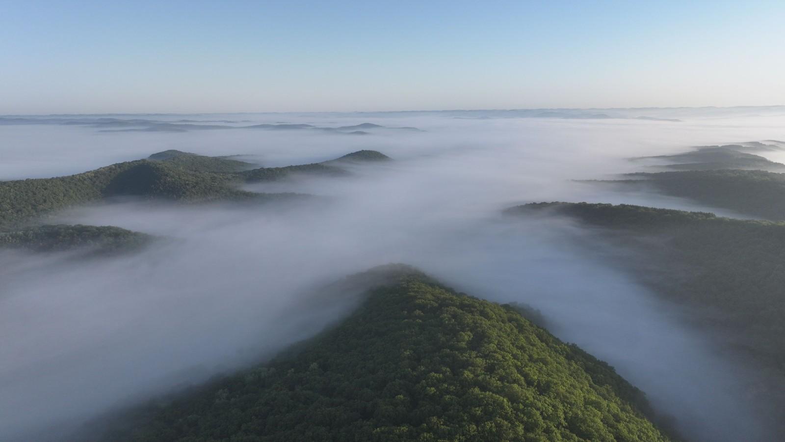 林緣深處黨旗紅——華池縣“一聯三共”解鎖護綠富民雙贏密碼