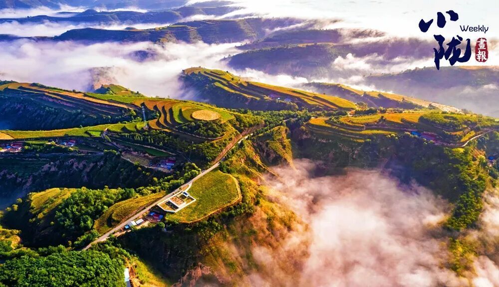 冬日華池：黃土塬上流動的油畫，每一幀都是壁紙→