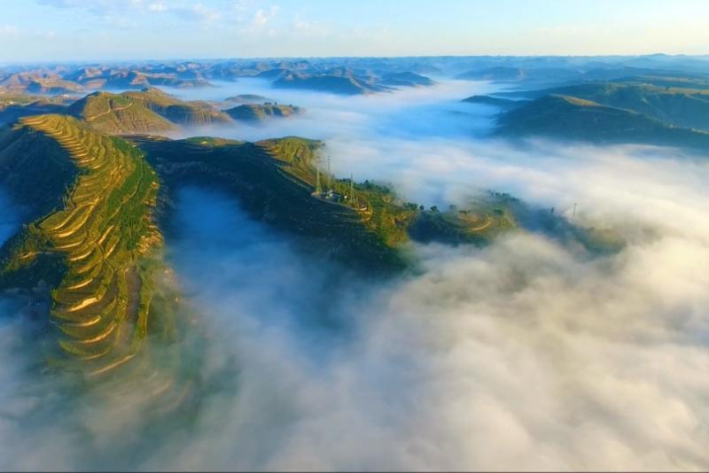 華池：小雜糧撐起致富夢 黃土坡奏響振興曲