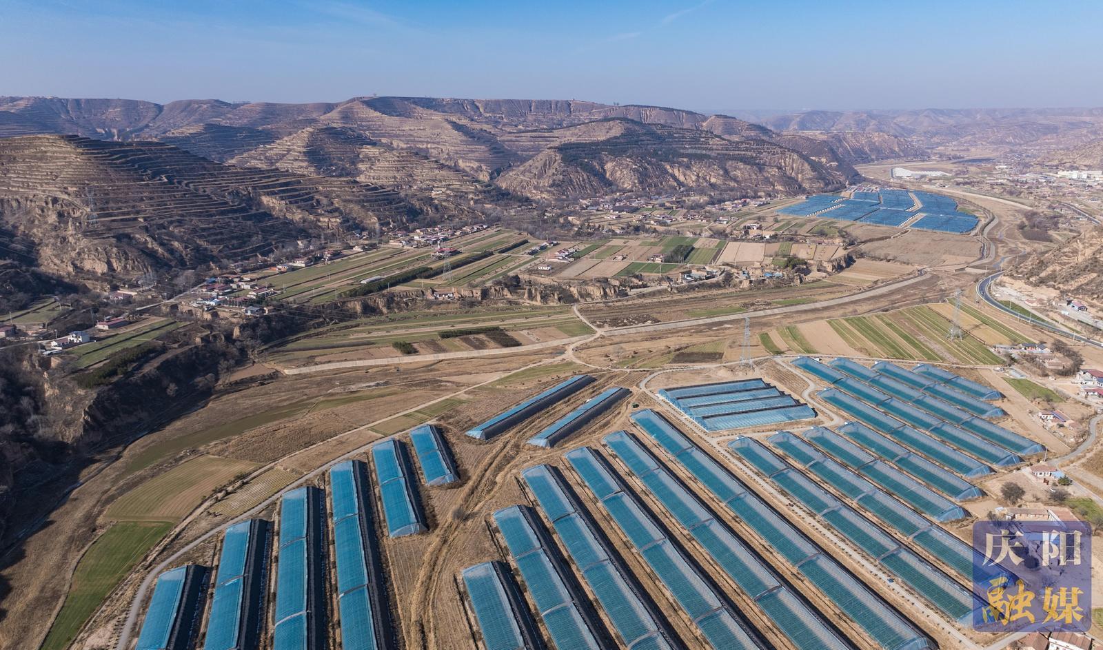 非凡“十四五”奮進(jìn)新慶陽 | 鎮(zhèn)原縣開邊鎮(zhèn)：設(shè)施農(nóng)業(yè)集群發(fā)展 特色產(chǎn)業(yè)賦能鄉(xiāng)村振興