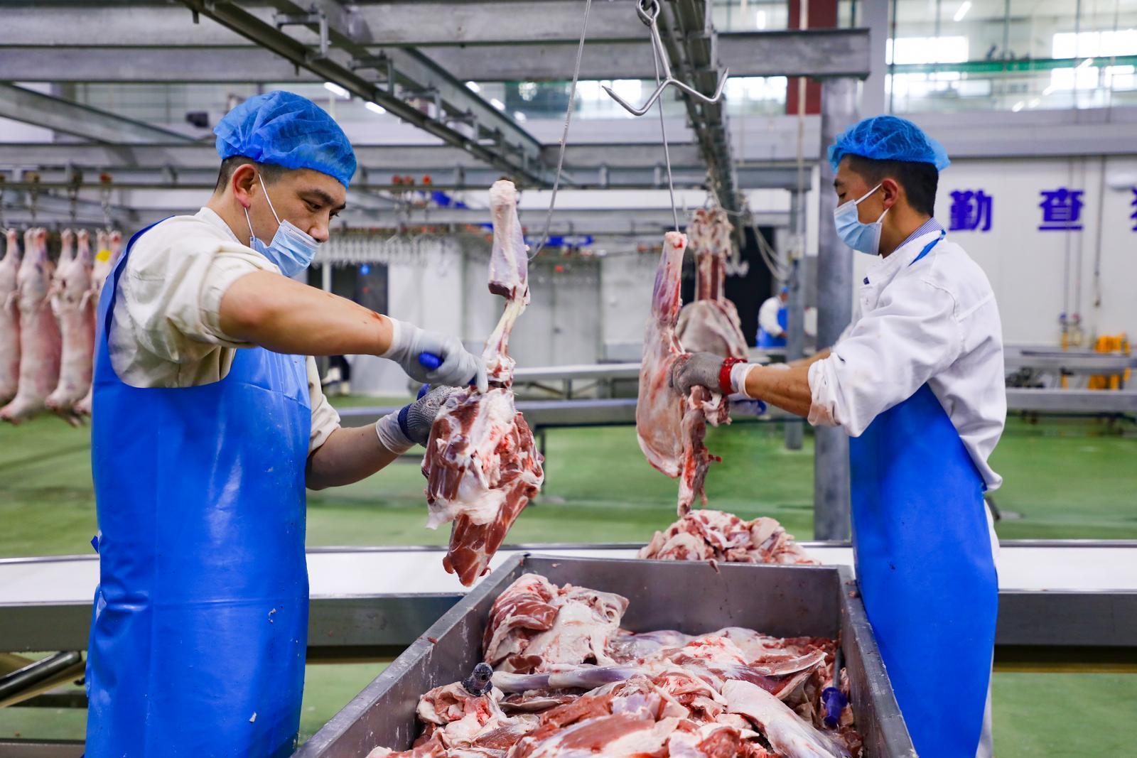 【攝影報道】環縣：羊肉加工產銷旺