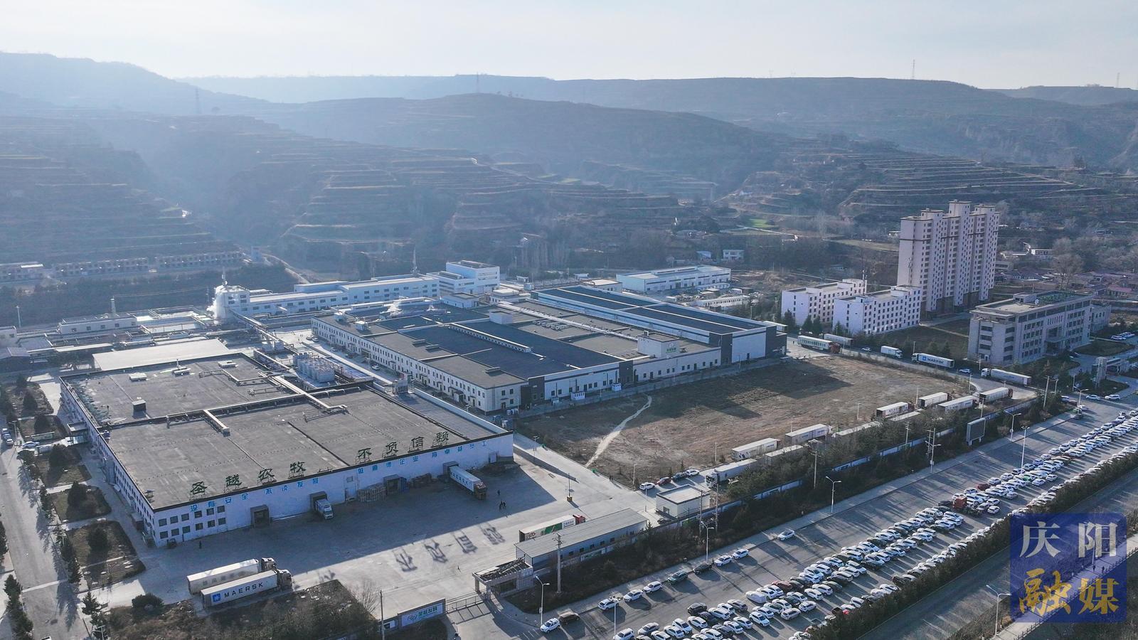 非凡“十四五”奮進新慶陽 | 圣越農牧：全產業鏈發力 打造隴東白羽肉雞產業新高地