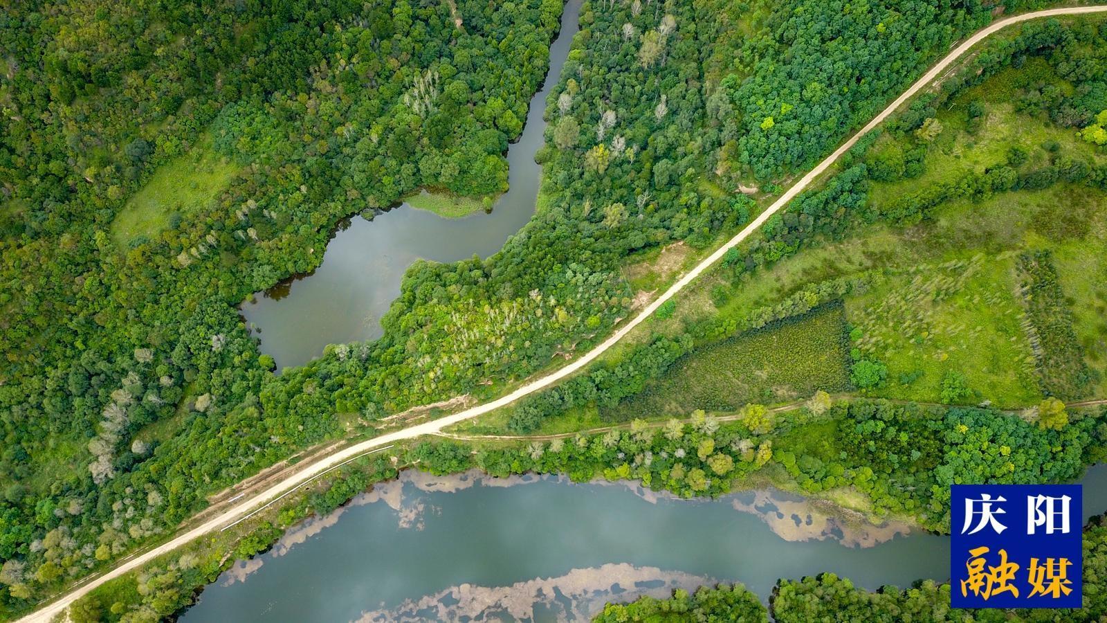 山水林田湖草沙系統治理 慶陽 “十四五” 林草事業全方位躍升