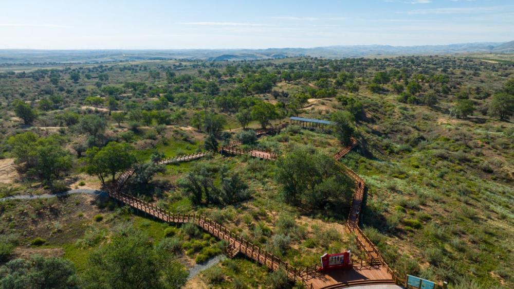 習近平總書記關切事·囑托｜生態守護者的綠色畫卷