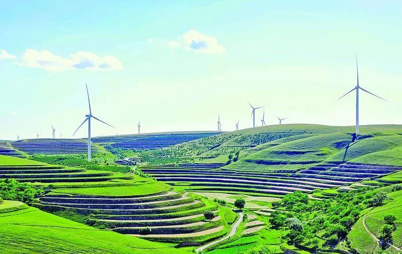 【慶陽·縣區觀察】一件羊肉緣何帶火一座小鎮？