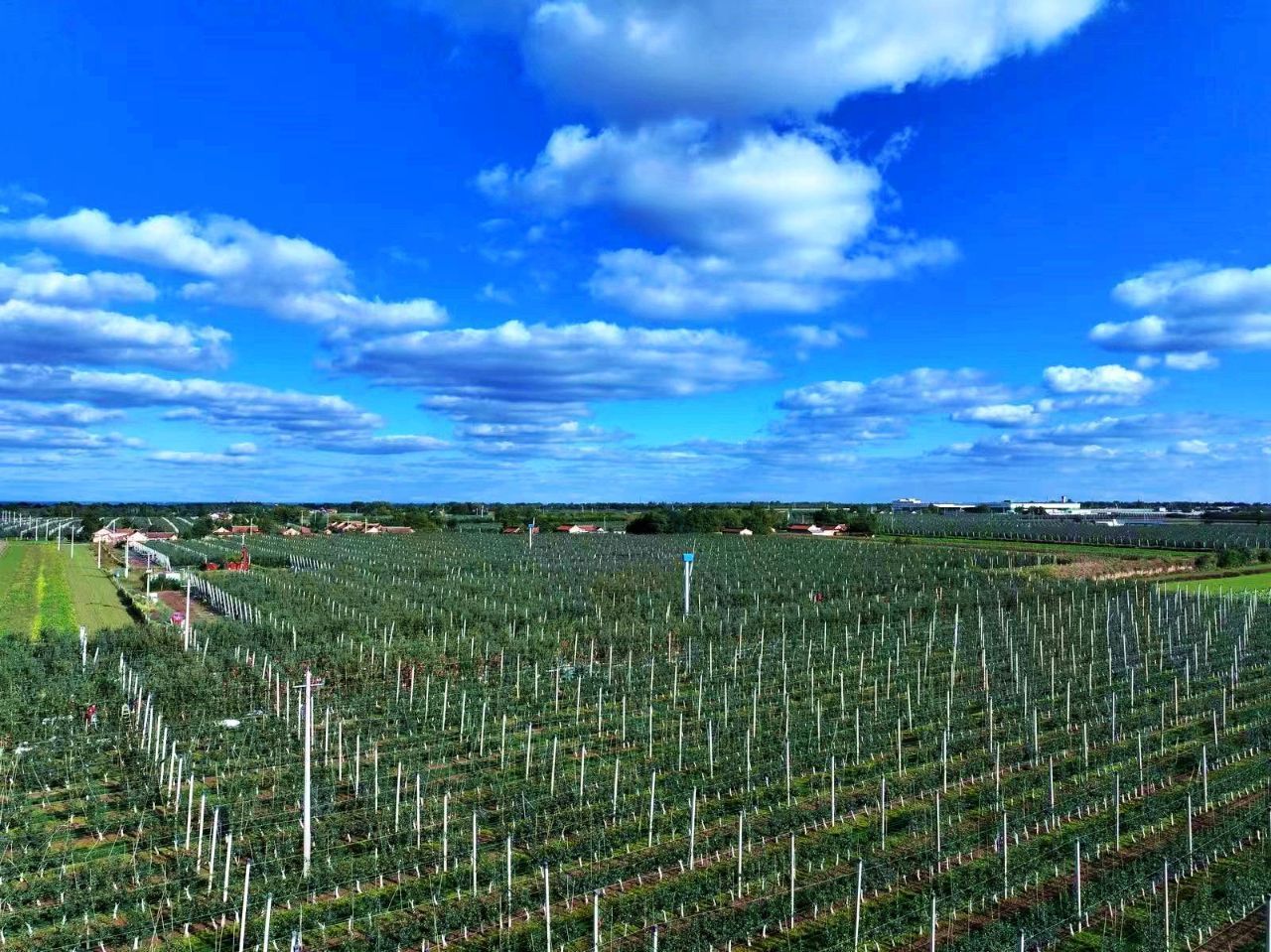 善金潤紅土 振興譜新篇 ——中央專項彩票公益金賦能寧縣革命老區高質量發展紀實