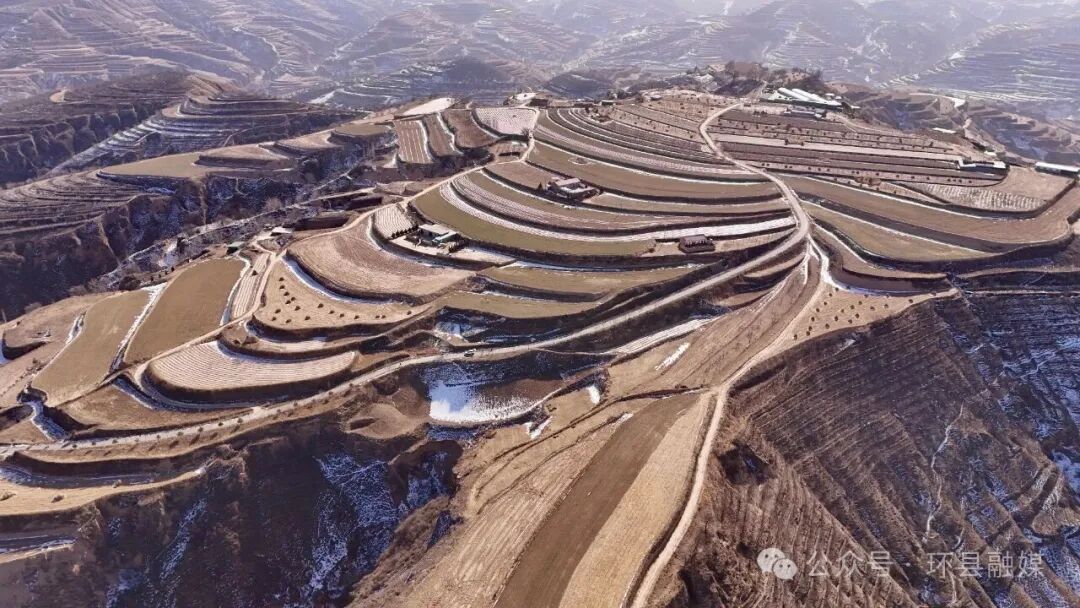 【“十四五”答卷】果豐羊壯暖冬塬——環縣曲子鎮樓房子村振興紀實