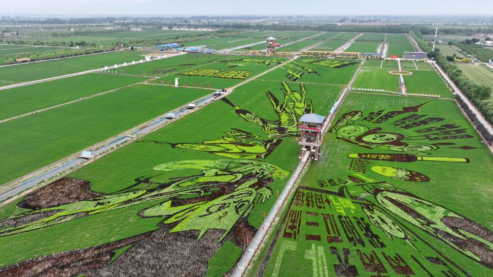 習近平總書記關切事｜幸福花開新農家