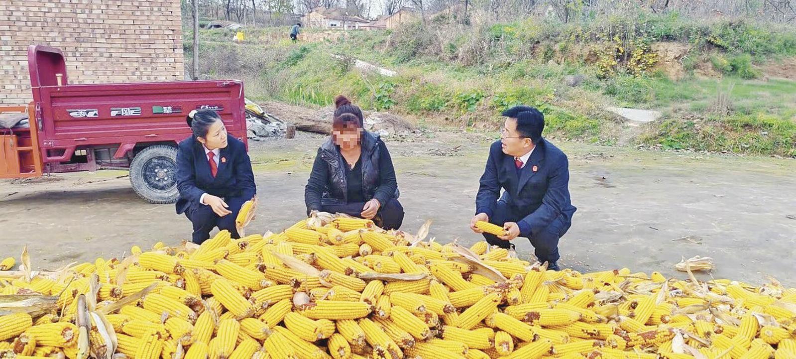 【法治慶陽】正寧縣人民法院周家人民法庭：“調立審執訪”五位一體賦能基層治理