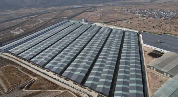 津甘同聚力 協作譜新篇——2025年津甘東西部協作工作紀實