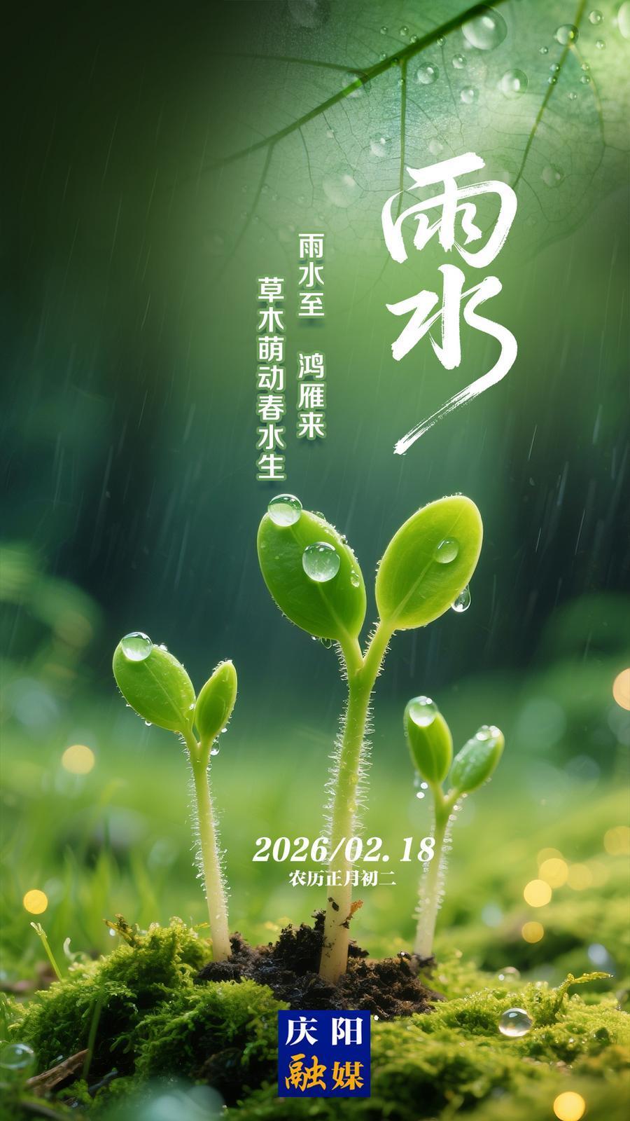 【二十四節氣·雨水】微海報丨雨水至 鴻雁來 草木萌動春水生