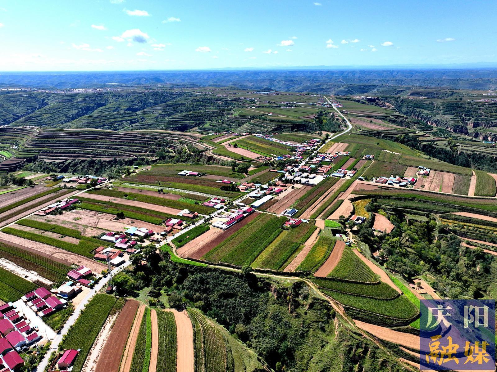 【回鄉偶記】我的唐家塬，變了模樣