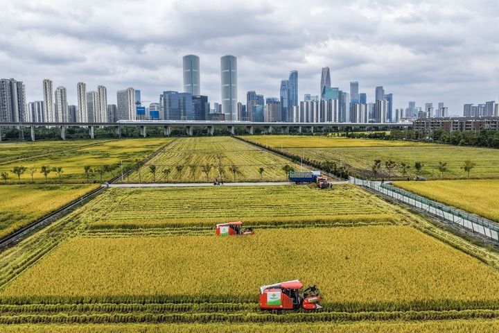 江山壯闊萬象新——習近平總書記引領中國式現代化新征程