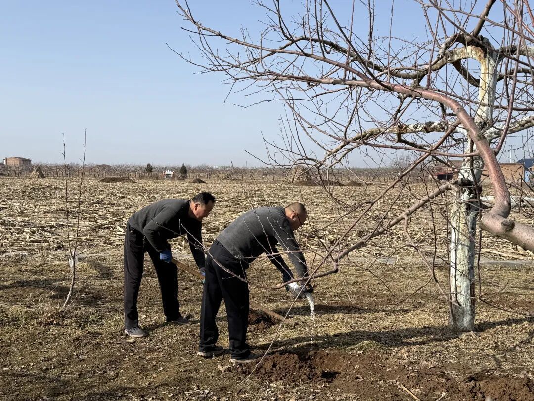 正寧：農資儲備“糧草”足 全力護航備春耕