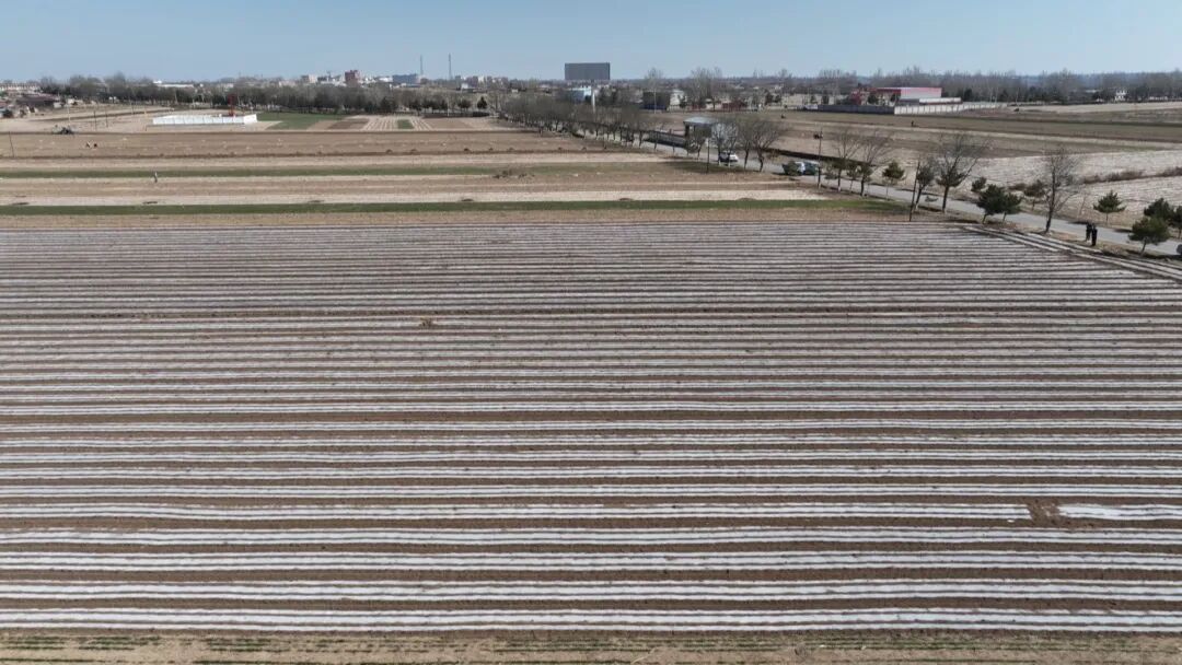鎮原：田間地頭忙起來 致富希望“種下去”