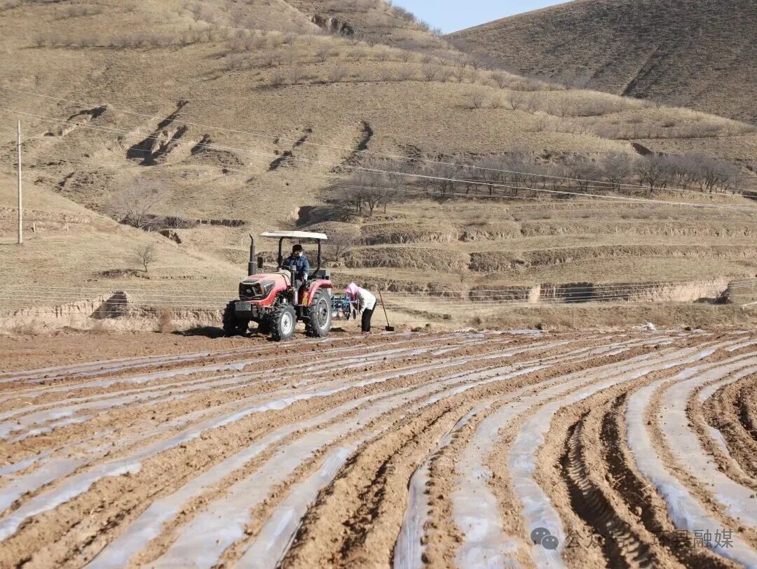 環縣車道鎮：多元施策繪春耕 多措并舉促增收