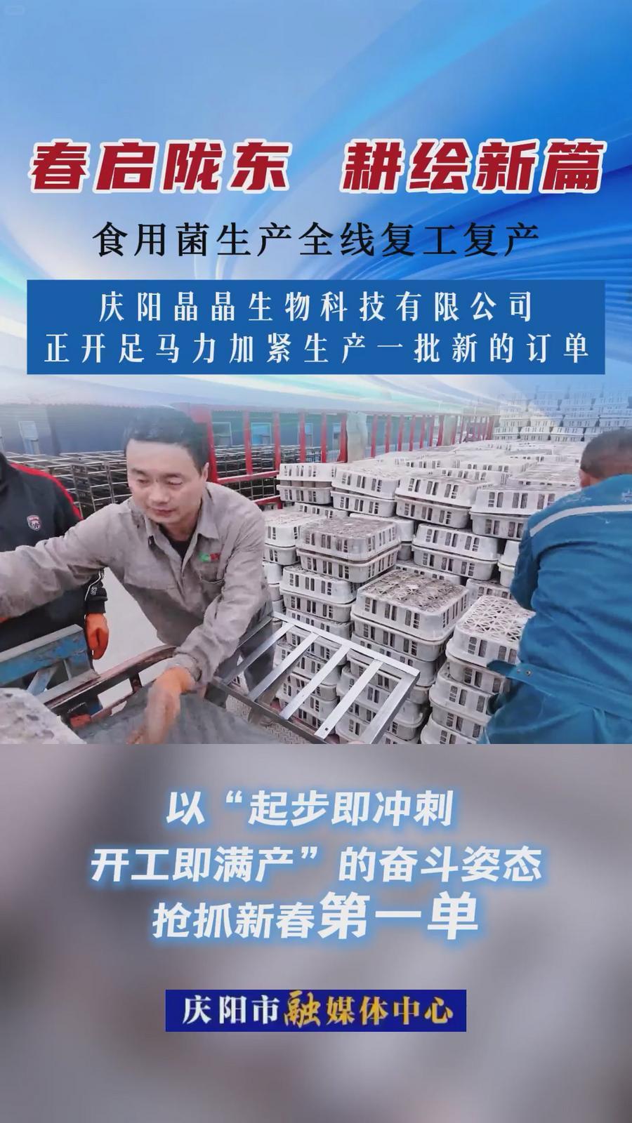 【春啟隴東 耕繪新篇】西峰區食用菌生產全線復工 奏響全區產業振興序曲