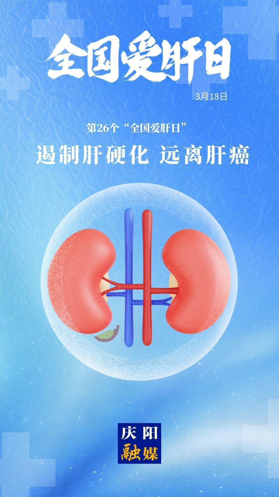 【微海報(bào)】全國愛肝日丨遏制肝硬化 遠(yuǎn)離肝癌