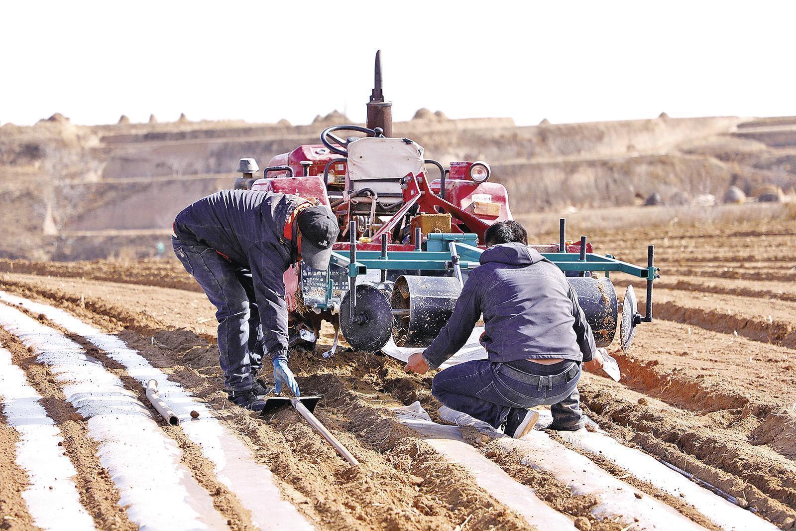 【春啟隴東 耕繪新篇】環縣：不負春光忙春耕 滿目青綠映田疇