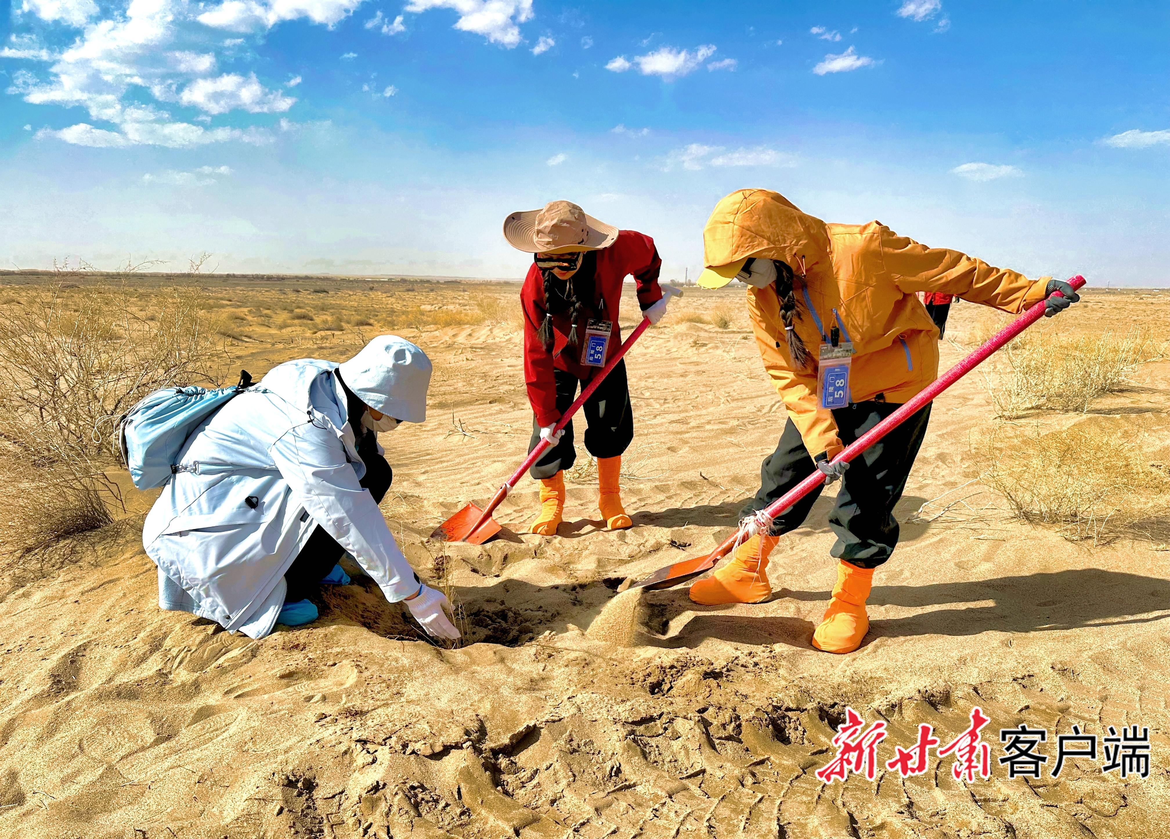 跨越山海的綠色接力——全國(guó)各地志愿者踴躍參與2026年“請(qǐng)到民勤種棵樹(shù)”活動(dòng)