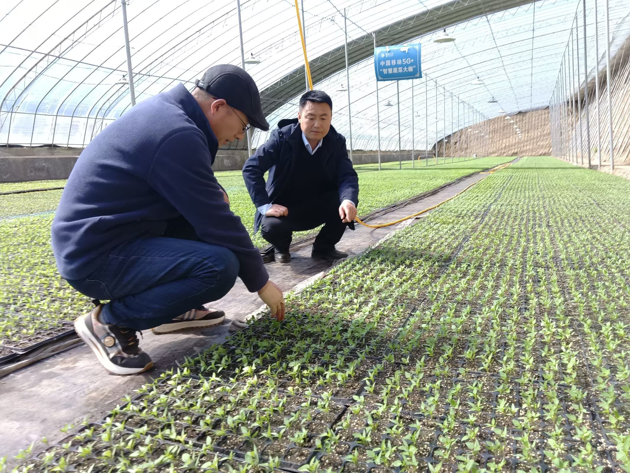 正寧縣  不負農時不負春  沃野千里氣象新
