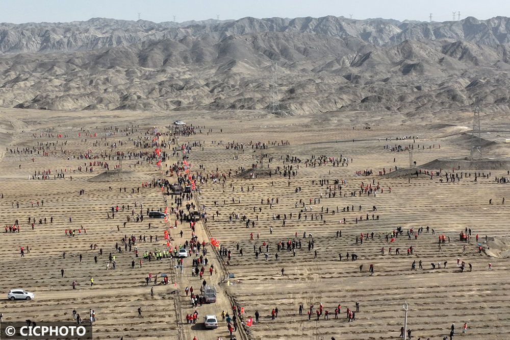 植樹治沙，為祖國添新綠