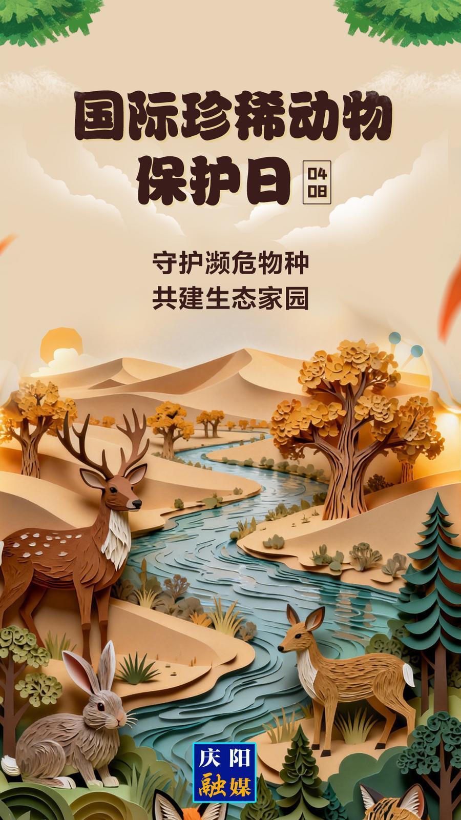 【微海報】國際珍稀動物保護日丨守護瀕危物種 共建生態家園